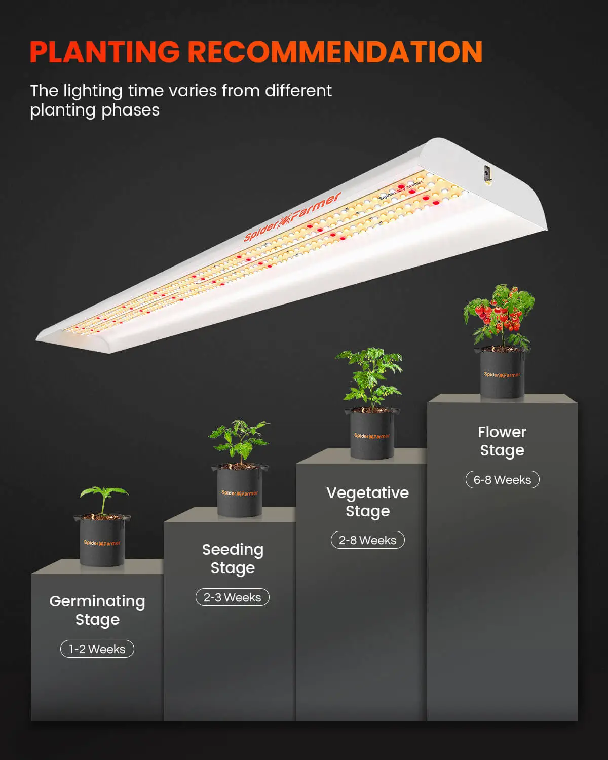 Spider Farmer SF600 Growshelves LED Pflanzenlicht für den Innenbereich und Metall Pflanzenständer mit Pflanzenschalen 3