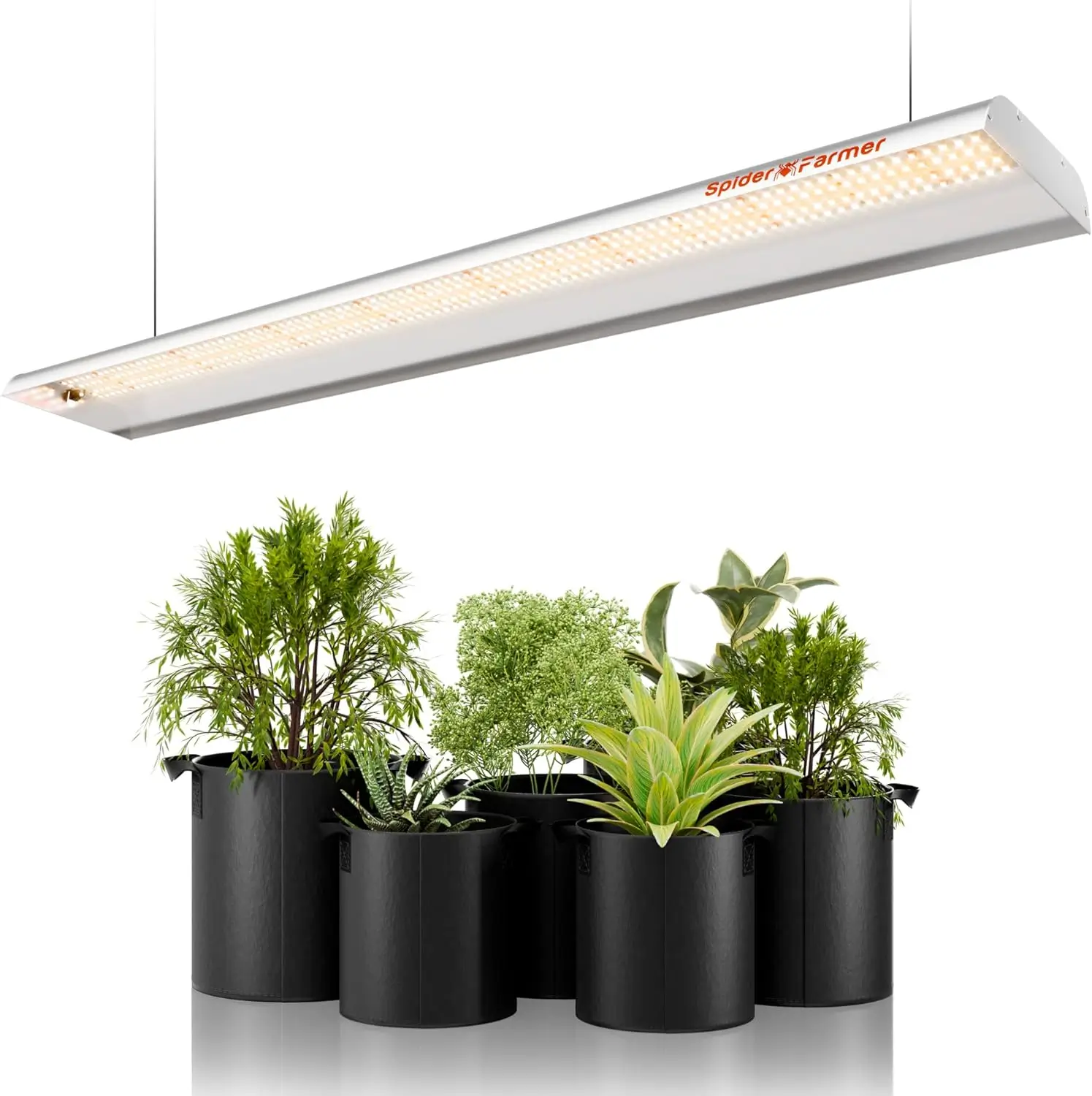 Spider Farmer SF600 Growshelves LED Pflanzenlicht für den Innenbereich und Metall Pflanzenständer mit Pflanzenschalen 4