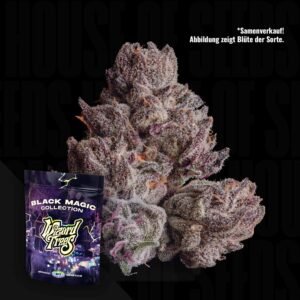 Wizard Trees Black Orchard 3er Packung