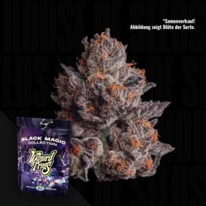 Wizard Trees Cauldron 3er Packung