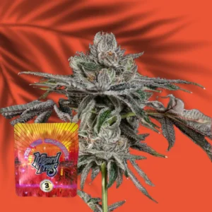 Wizard Trees P’s & Z’s 3er Packung