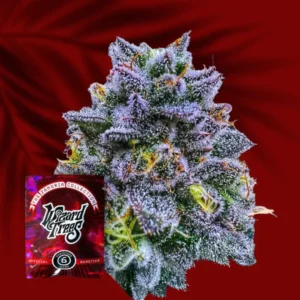 Wizard Trees UVAZ 3er Packung