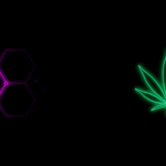 Cannabinoide erklärt: THC, CBD, CBG und CBN