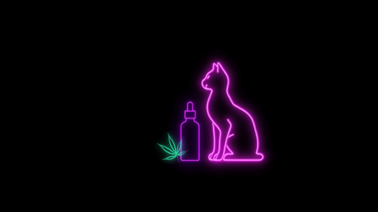 Neon-Katze mit Tropfflasche und Hanfblatt – CBD für Hunde und Katzen