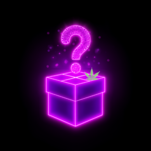 Mystery Boxen