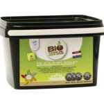 BioTabs Silicium Flash 1,25kg