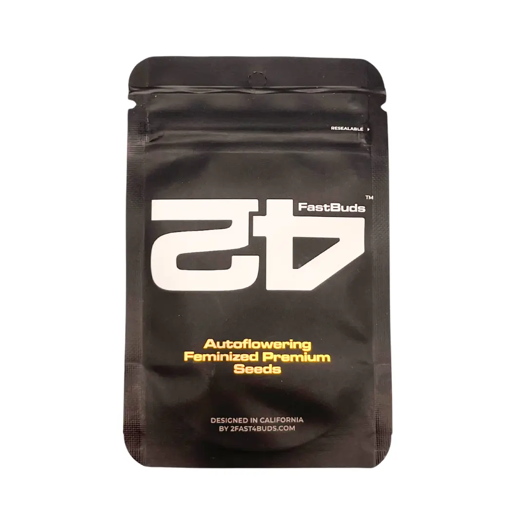 Fast Buds Blackberry Auto - 3er Packung – Bild 5