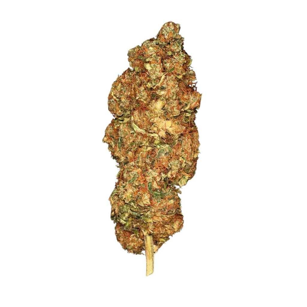 Paradise Seeds Space Cookies – Bild 4
