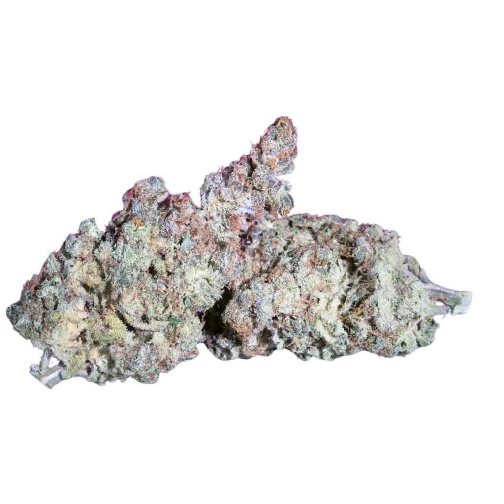 Paradise Seeds White Noise – Bild 2
