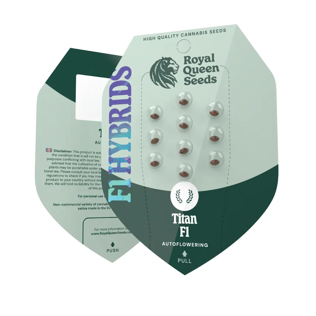 Royal Queen Seeds Titan F1 – Bild 2