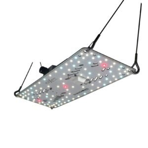 BloomStar FLUXshield Habibi 150 – 50W Vollspektrum