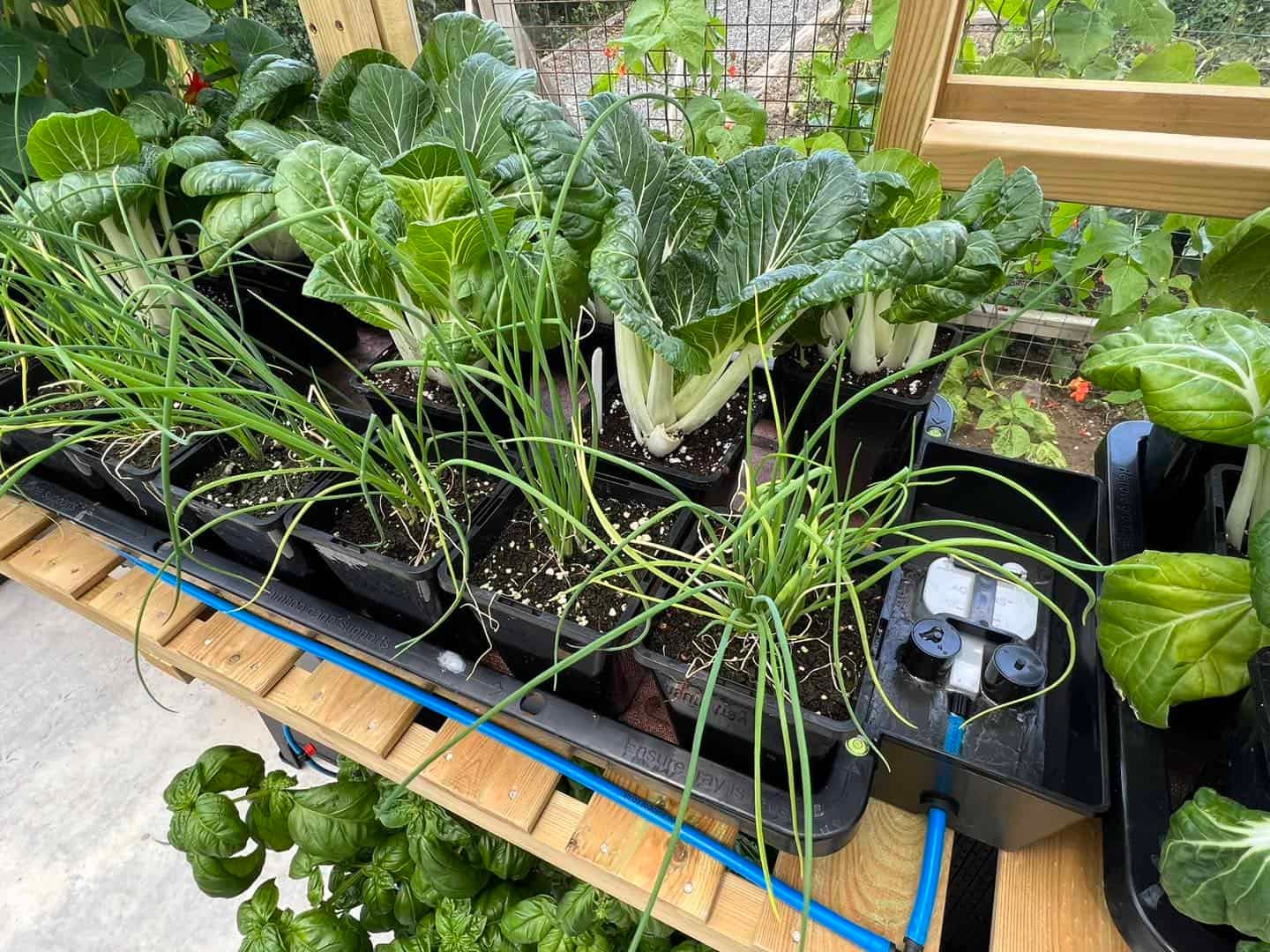 AutoPot Tray2Grow – Bild 3