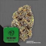 The Bulldog Gelato Auto