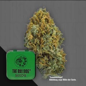 The Bulldog Skittlez Auto