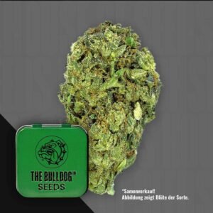 The Bulldog Sour Diesel