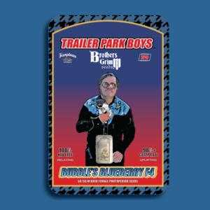 Brothers Grimm Seeds Bubble’s Blueberry F4 feminisiert – 9 Samen (Trailer Park Boys Collab)