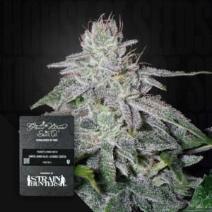 Green House Seed Co. Franco’s Lemon Cheese