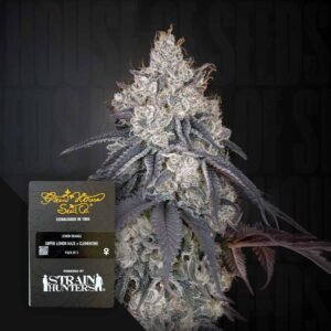 Green House Seed Co. Lemon Orange
