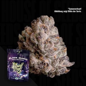 Wizard Trees The Curse – 3er Packung