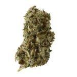 Amsterdam Genetics Kosher Tangie Kush feminisiert