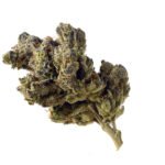 Amsterdam Genetics Blue Magic feminisiert