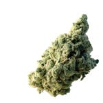 Amsterdam Genetics Lemon Ice feminisiert