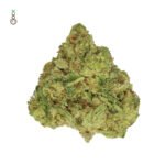 Amsterdam Genetics Skywalker Saga feminisiert