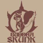 Buddha Classics Skunk feminisiert