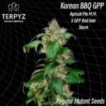 TerpyZ Mutant Genetics Korean BBQ GPP regulär