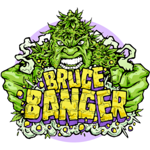 Seedsman Bruce Banger Fast feminisiert