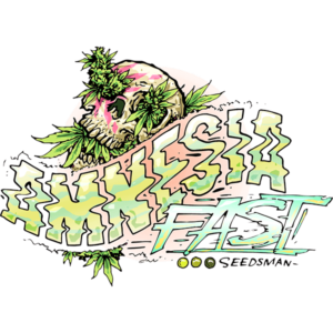 Seedsman Amnesia Fast feminisiert