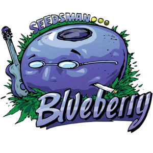 Seedsman Blueberry feminisiert