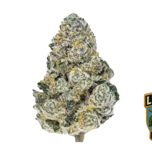Fast Buds Lemonpaya Hanfsamen
