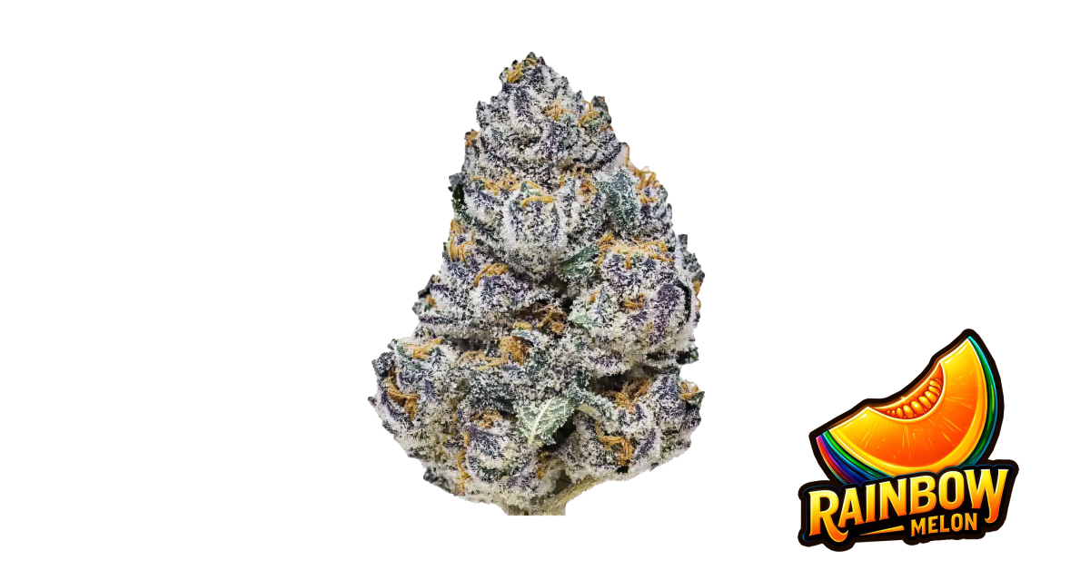 Fast Buds Rainbow Melon Hanfsamen