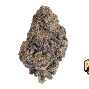 Fast Buds Papayton Hanfsamen