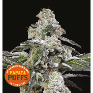 Papaya Puffs