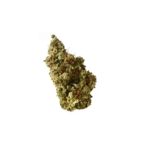 Amsterdam Genetics Milkshake Kush Auto 3er Pack